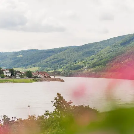 Donaublick Guest house